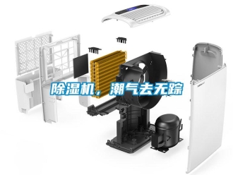 常見問題除濕機，潮氣去無蹤