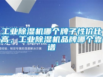 企業(yè)新聞工業(yè)除濕機(jī)哪個(gè)牌子性價(jià)比高，工業(yè)除濕機(jī)品牌哪個(gè)靠譜