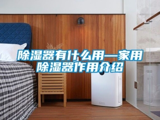 行業(yè)新聞除濕器有什么用—家用除濕器作用介紹