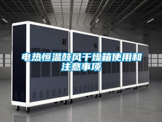 知識(shí)百科電熱恒溫鼓風(fēng)干燥箱使用和注意事項(xiàng)