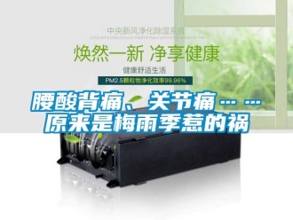 知識(shí)百科腰酸背痛、關(guān)節(jié)痛……原來是梅雨季惹的禍