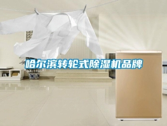常見問題哈爾濱轉輪式除濕機品牌