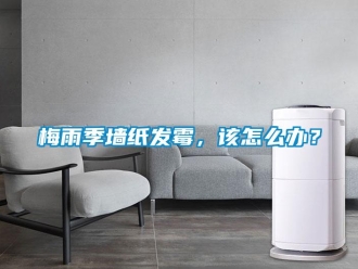 常見問題梅雨季墻紙發霉，該怎么辦？