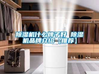 企業(yè)新聞除濕機(jī)什么牌子好 除濕機(jī)品牌介紹【推薦】
