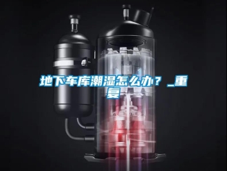 企業(yè)新聞地下車庫潮濕怎么辦？_重復(fù)