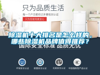 企業新聞除濕機十大排名是怎么樣的，哪些除濕機品牌值得推薦？