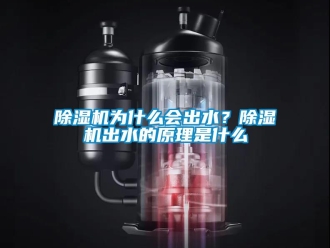 企業(yè)新聞除濕機(jī)為什么會(huì)出水？除濕機(jī)出水的原理是什么