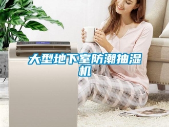 企業(yè)新聞大型地下室防潮抽濕機(jī)