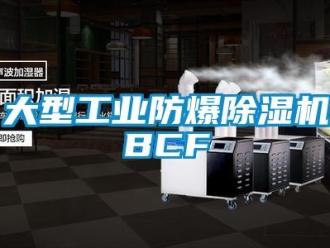 企業(yè)新聞大型工業(yè)防爆除濕機BCF