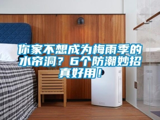 行業(yè)新聞你家不想成為梅雨季的水簾洞？6個防潮妙招真好用！