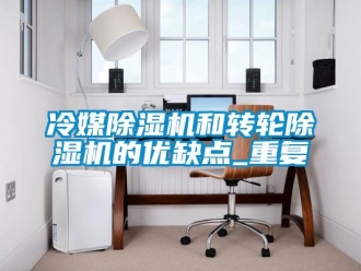 常見問題冷媒除濕機(jī)和轉(zhuǎn)輪除濕機(jī)的優(yōu)缺點(diǎn)_重復(fù)