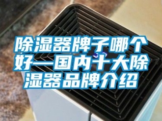行業(yè)新聞除濕器牌子哪個好—國內(nèi)十大除濕器品牌介紹