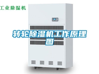 常見問題轉(zhuǎn)輪除濕機工作原理圖