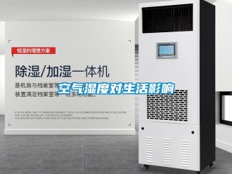 行業(yè)新聞空氣濕度對生活影響