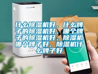 行業新聞什么除濕機好，什么牌子的除濕機好，哪個牌子的除濕機好，除濕機哪個牌子好，除濕機什么牌子好
