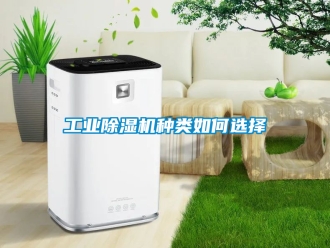 常見(jiàn)問(wèn)題工業(yè)除濕機(jī)種類(lèi)如何選擇