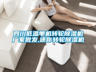 企業(yè)新聞四川低溫單機轉輪除濕機廠家批發(fā),迷你轉輪除濕機