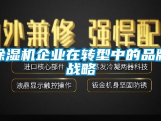 企業新聞除濕機企業在轉型中的品牌戰略