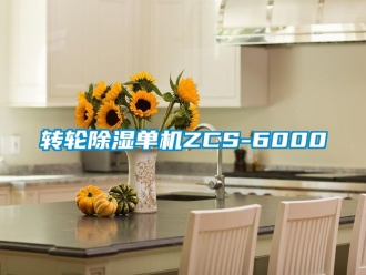 常見問題轉(zhuǎn)輪除濕單機(jī)ZCS-6000