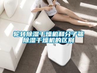 行業(yè)新聞?shì)嗈D(zhuǎn)除濕干燥機(jī)和分子篩除濕干燥機(jī)的區(qū)別