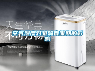 行業(yè)新聞空氣濕度對雛雞育雛期的影響