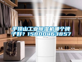 常見問題平頂山工業除濕機哪個牌子好？15800463857