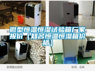 知識百科微型恒溫恒濕試驗箱廠家報價（知名恒溫恒濕箱價格）
