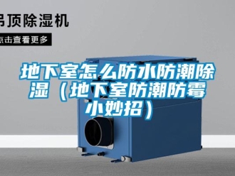 企業新聞地下室怎么防水防潮除濕（地下室防潮防霉小妙招）