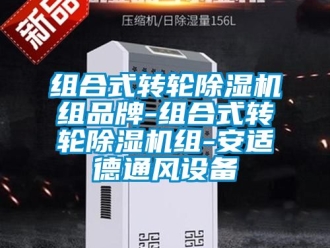 常見問題組合式轉輪除濕機組品牌-組合式轉輪除濕機組-安適德通風設備