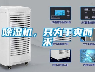 常見問題除濕機，只為干爽而來