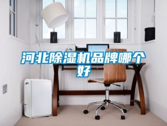 企業(yè)新聞河北除濕機(jī)品牌哪個好