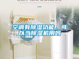 行業(yè)新聞空調有除濕功能，可以當除濕機用嗎