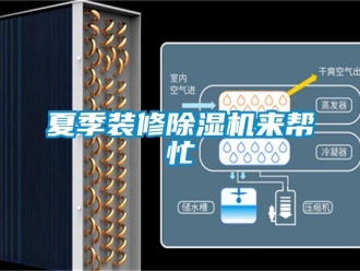知識百科夏季裝修除濕機來幫忙