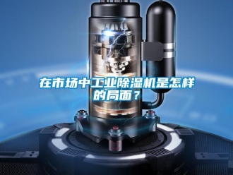 常見問題在市場中工業(yè)除濕機是怎樣的局面？