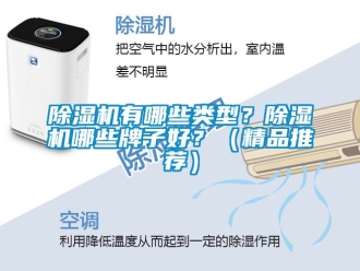 行業新聞除濕機有哪些類型？除濕機哪些牌子好？（精品推薦）