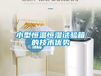 知識百科小型恒溫恒濕試驗箱的技術優勢