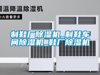企業(yè)新聞制鞋廠除濕機_制鞋車間除濕機_鞋廠除濕機