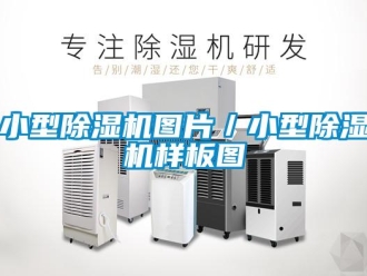 行業(yè)新聞小型除濕機圖片／小型除濕機樣板圖