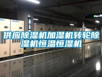 常見問題供應(yīng)除濕機加濕機轉(zhuǎn)輪除濕機恒溫恒濕機