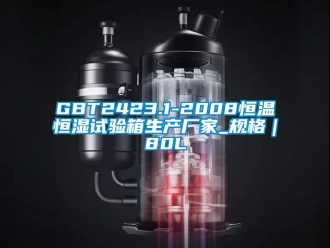 常見問題GBT2423.1-2008恒溫恒濕試驗箱生產廠家_規格｜80L
