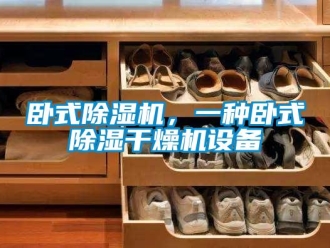 行業(yè)新聞臥式除濕機(jī)，一種臥式除濕干燥機(jī)設(shè)備