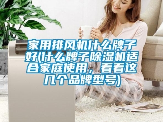 企業新聞家用排風機什么牌子好(什么牌子除濕機適合家庭使用，看看這幾個品牌型號)