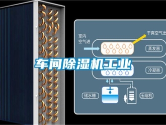 常見問題車間除濕機工業
