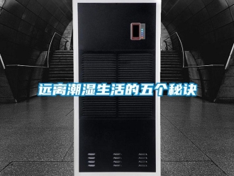 知識百科遠離潮濕生活的五個秘訣