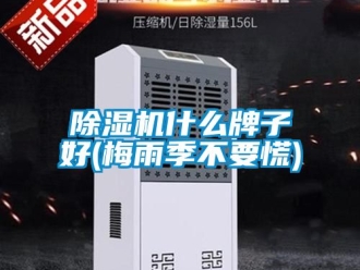 行業(yè)新聞除濕機(jī)什么牌子好(梅雨季不要慌)