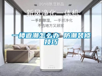 常見問題一樓返潮怎么辦 防潮裝修技巧