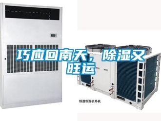 行業(yè)新聞巧應回南天，除濕又旺運