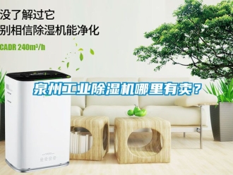 常見問題泉州工業除濕機哪里有賣？