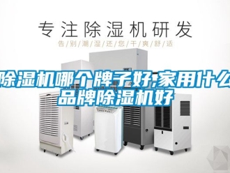企業新聞除濕機哪個牌子好,家用什么品牌除濕機好