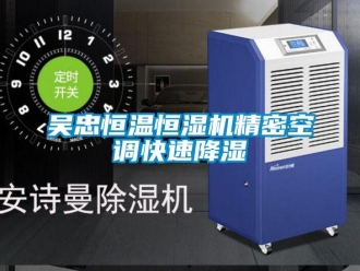 知識(shí)百科吳忠恒溫恒濕機(jī)精密空調(diào)快速降濕